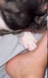 Vanessa Marcil feet photo thumbnail