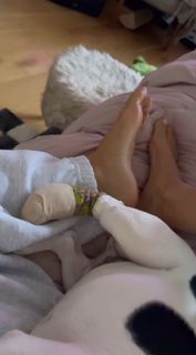 Vanessa Marcil feet photo thumbnail