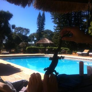 Vanessa Mesquita feet photo 3