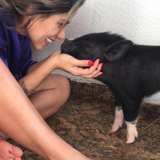 Vanessa Mesquita feet photo 19