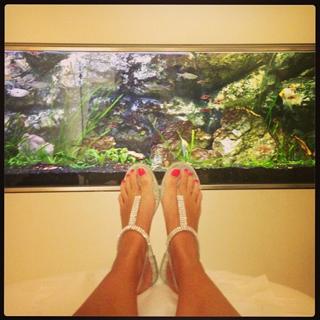 Vanessa Oliveira feet photo thumbnail