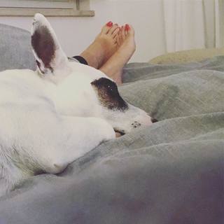 Vanessa Oliveira feet photo thumbnail