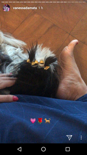 Vanessa da Mata feet photo 14