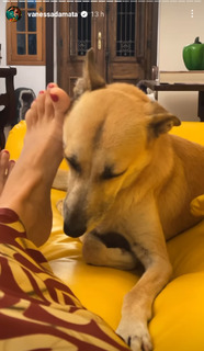 Vanessa da Mata feet photo 13