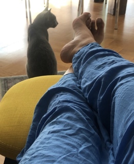Vanja Cerimagic feet photo thumbnail