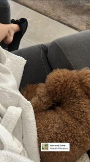 Vanja Cerimagic feet photo thumbnail