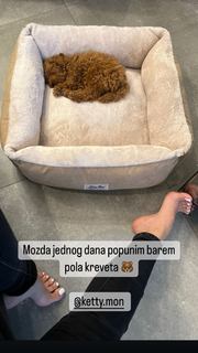 Vanja Ćerimagić feet photo 11
