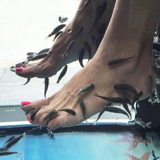 Vanna White feet photo thumbnail