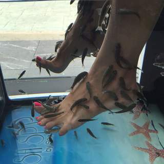 Vanna White feet photo thumbnail