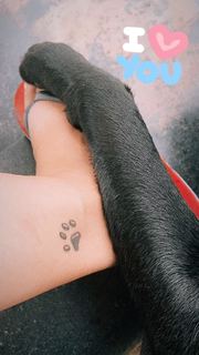 Varsha Bollamma feet photo 19