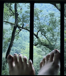 Varsha Bollamma feet photo 7