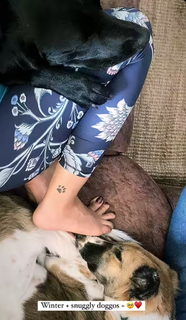 Varsha Bollamma feet photo 1