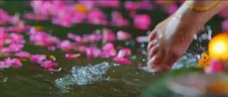 Vedhika feet photo thumbnail