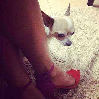 Veena Malik feet photo thumbnail