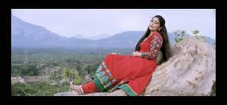 Veena Nandhakumar feet photo 19