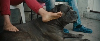 Veerle Baetens feet photo 4