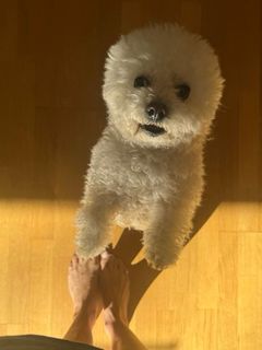 Vera Brezhneva feet photo thumbnail