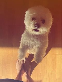 Vera Brezhneva feet photo 20