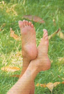 Vera Fischer feet photo 17