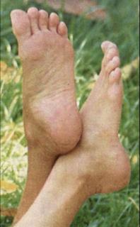Vera Fischer feet photo 1