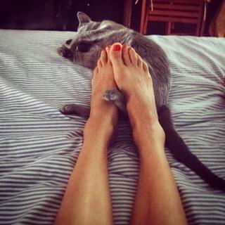 Vera Jordanova feet photo 18