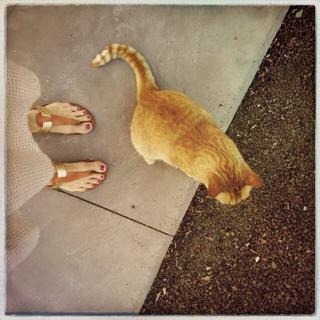 Veronica Blume feet photo 11