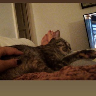 Veronica Gentili feet photo thumbnail