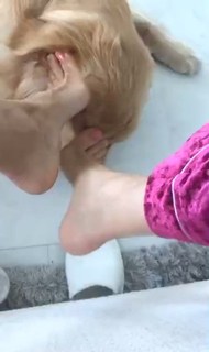 Veronica Maya feet photo thumbnail
