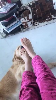 Veronica Maya feet photo thumbnail
