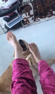 Veronica Maya feet photo thumbnail