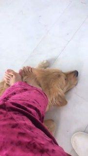 Veronica Maya feet photo thumbnail