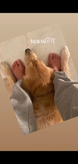 Veronica Maya feet photo thumbnail