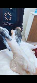 Veronica Maya feet photo thumbnail