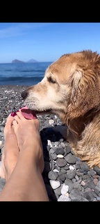 Veronica Maya feet photo thumbnail
