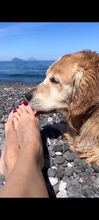 Veronica Maya feet photo thumbnail
