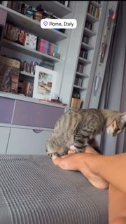 Veronica Maya feet photo thumbnail