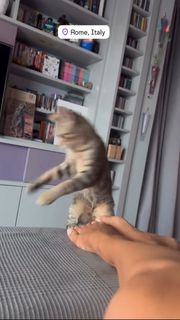 Veronica Maya feet photo thumbnail