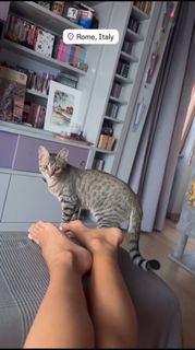 Veronica Maya feet photo thumbnail