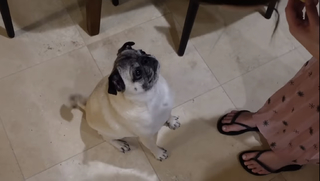 Veronica Merrell-Burriss feet photo thumbnail