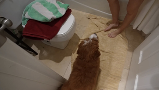 Veronica Merrell-Burriss feet photo thumbnail