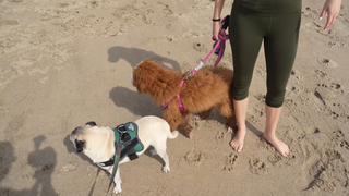 Veronica Merrell-Burriss feet photo thumbnail