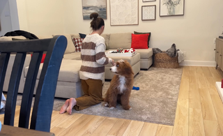 Veronica Merrell-Burriss feet photo thumbnail