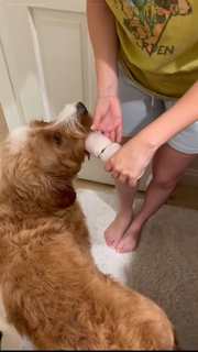 Veronica Merrell-Burriss feet photo thumbnail