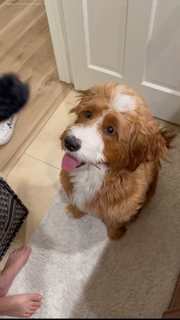 Veronica Merrell-Burriss feet photo thumbnail