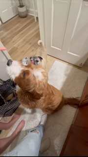 Veronica Merrell-Burriss feet photo thumbnail