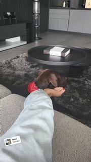 Veronica Ngo feet photo 14