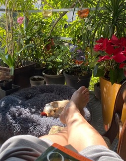 Veronica Toussaint feet photo 4