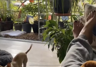 Veronica Toussaint feet photo 18