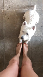 Veronica Toussaint feet photo 16