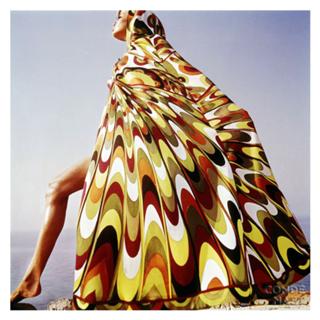Veruschka von Lehndorff feet photo 16